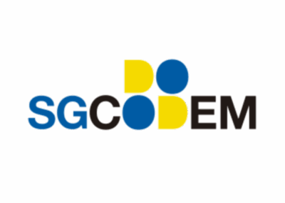 SGCODEM – Sánchez Guerra consultores de empresa
